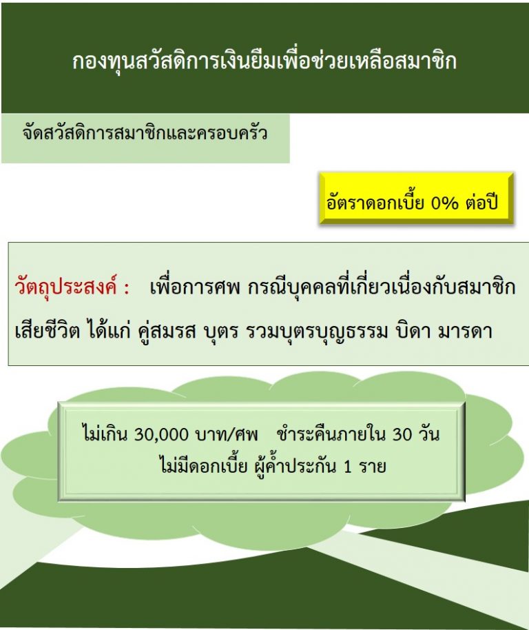 My Image 38